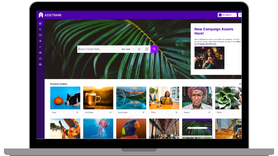 Asset Bank's Brand Asset Management