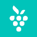 Berrycast Screen Recording Tool