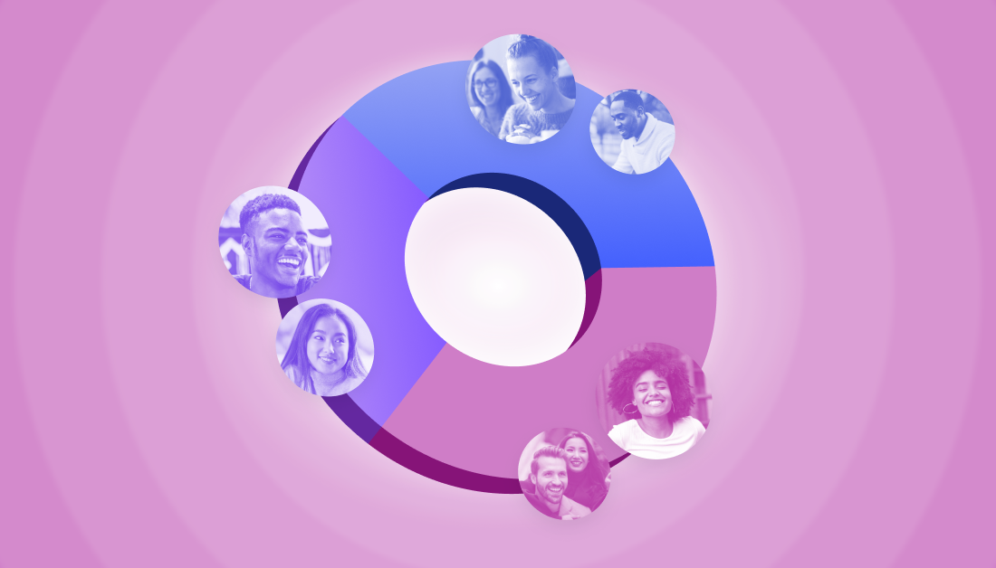 Braze Segment Insights