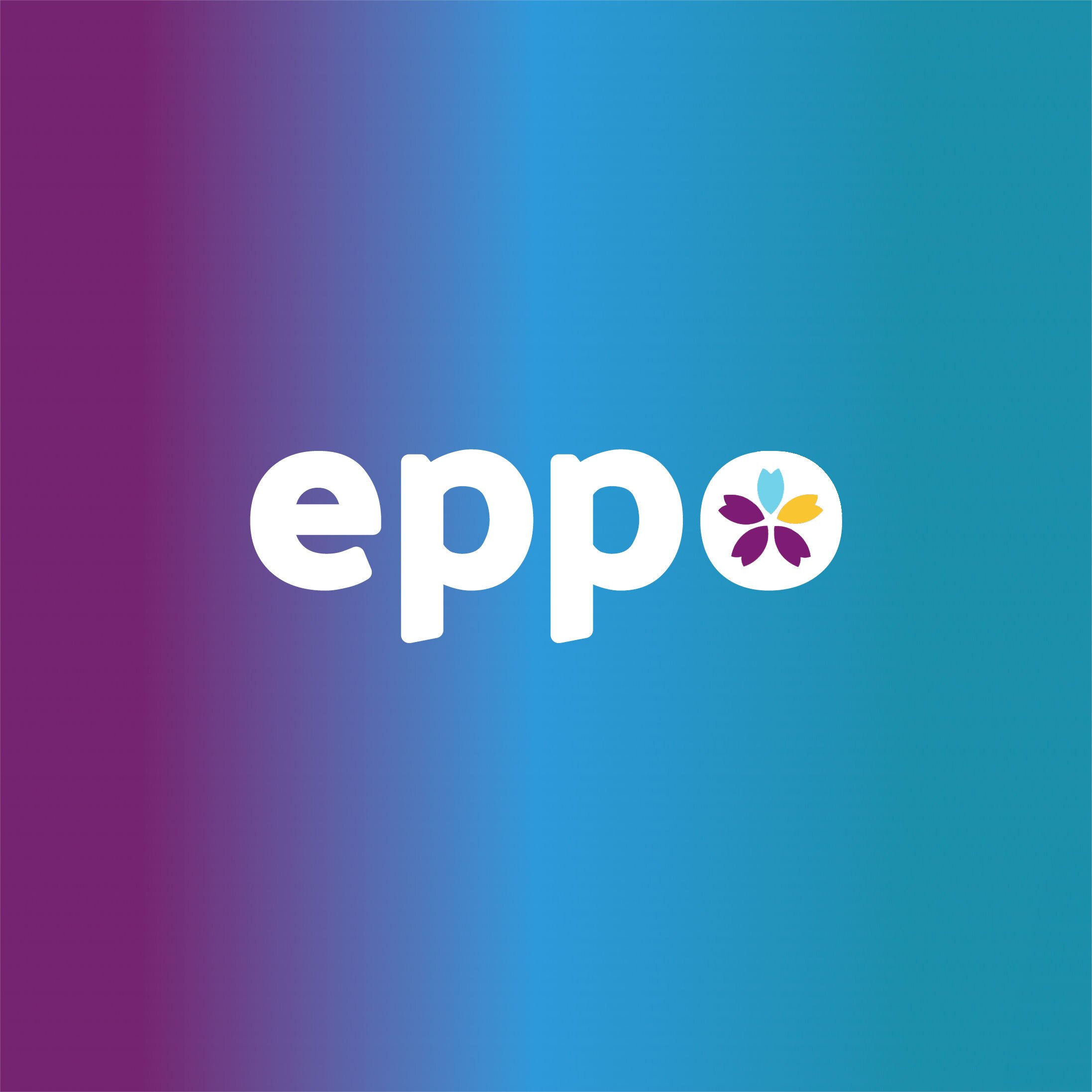 Eppo: Modern Stack Experimentation