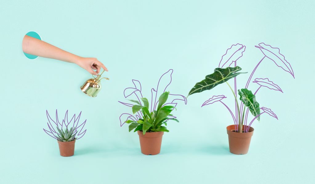 HR Cloud Performance Management