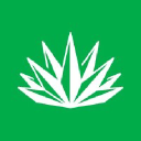 Agave Construction Platform