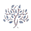 TheirStory: Storytelling & Preservation