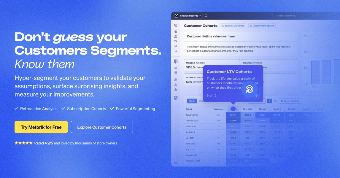 Metorik Cohort Customer Segments