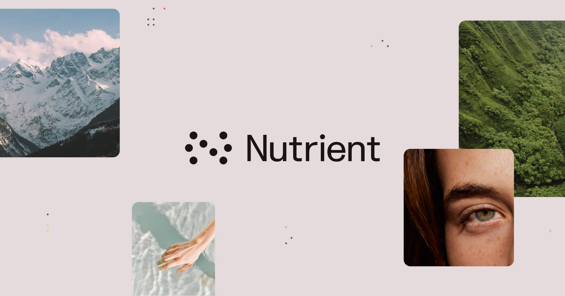 Nutrient Workflow Automation