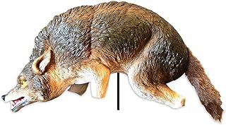 3D Lifelike Coyote Decoy