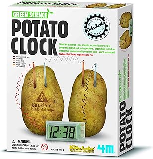 4M Potato Clock STEM Kit