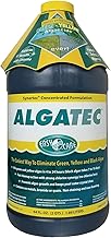 EasyCare Algatec Pool Algaecide-Clarifier