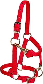 Weaver Miniature Horse Halter