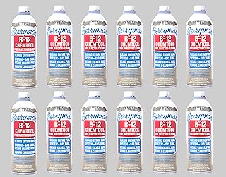 Berryman B-12 Carburetor Cleaner