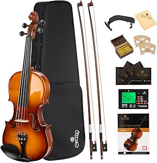 Cecilio Solidwood Beginner's Violin Kit