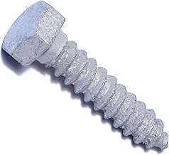 Hex Lag Screws 20 Piece Set