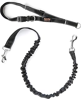 Mighty Paw Bungee Dog Leash