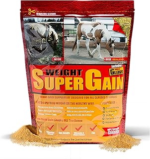 Equine Probiotic Weight Gain Supplement