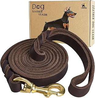 LWBMG Heavy Duty Leather Leash