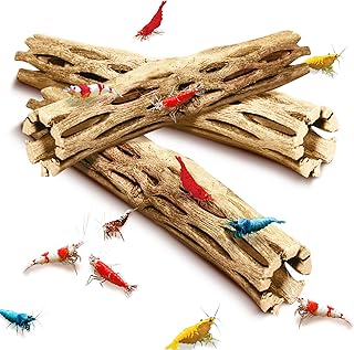 SunGrow Cholla Wood Aquarium D&eacute;cor