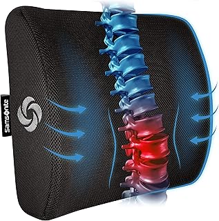 Samsonite Ergonomic Lumbar Pillow