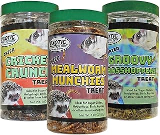 Exotic Nutrition Insect 3-Pack