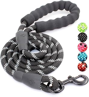 BAAPET Reflective Dog Leash