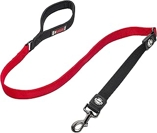 Franklin Bungee Nylon Dog Leash