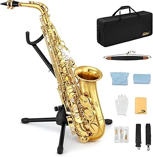 Eastar Beginner Alto Saxophone Kit