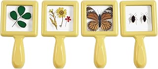 Early STEM Specimen Viewers