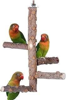Wooden Bird Stand for Parrots