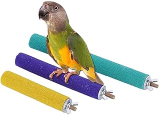 PIVBY Parrot Stand Toy Platform