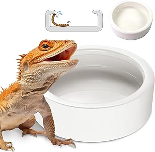 Ceramic Reptile Anti-Escape Feeder