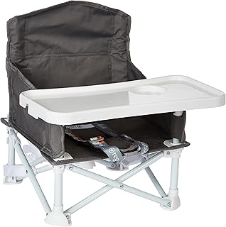 Regalo Portable Booster & Activity Chair
