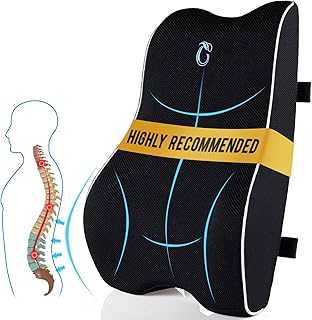 CompuClever Ergonomic Lumbar Pillow