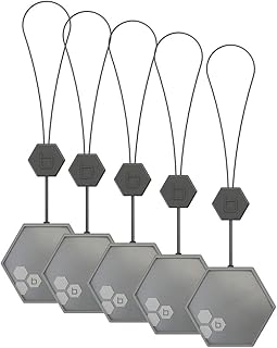 Orbit B-hyve WiFi Water Detector