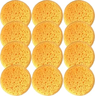 A Box of 12 Tack Sponges (coarse Holes)