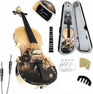 Aliyes Beginner Electric/Acoustic Violin