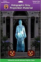 Holographic Rear Projection Screen