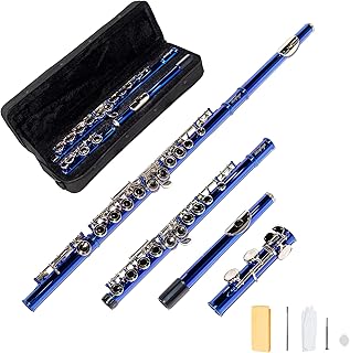 LeSage Blue Beginner C Flute