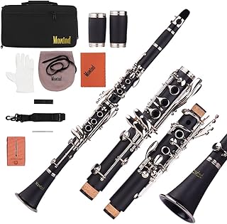 Bb Flat Clarinet - 17 Key Beginner Student Woodwind Instrument with 2 Barrels and Carry Case, Includes Cleaning Kit