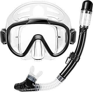 Zipoute Anti-Fog Snorkel Set