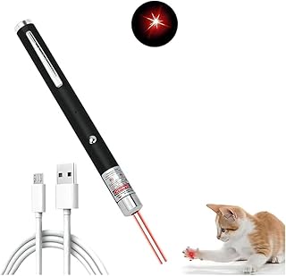 Rechargeable Interactive Pet Laser