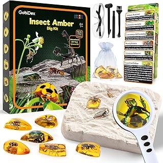 GobiDex Insect Excavation Kit