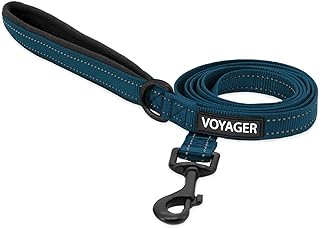 Voyager Reflective Dog Leash
