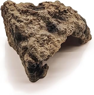 Reptile Rock Cave Hideout