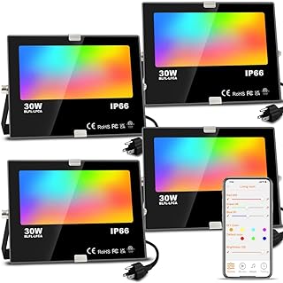 Smart RGB Outdoor Flood Light