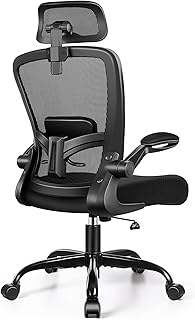 FelixKing Office Chair, Desk Chair with Adjustable Lumbar Support, Ergonomic Computer Chair with High Back and Armrest, Adjustable Height Gaming Chair Home Office Swivel Chair(Black)