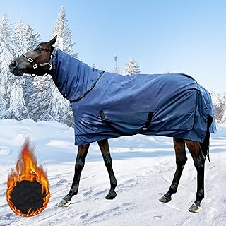 Waterproof Medium Weight Horse Blanket