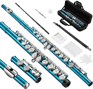 Flutes, Closed Hole C 16 Keys Flute Instrument, Student Flute for Beginner School Orchestra Band, with Cleaning Kit, Carry Bag, Strap, Probe Rod, Gloves (Sky Blue)
