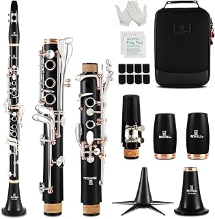 ROWELL Clarinet Professional 17 keys B Flat Clarinet Two-color Silver-plated Keys Clarinets for Beginner Student Performance Test with Professional Clarinets Case