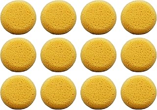 Creative Hobbies Pack of 12 Synthetic Sponges - 2-1/2 Inch Round Craft Sponge for Leather Care, Horse Tack Maintenance and Versatile Crafting