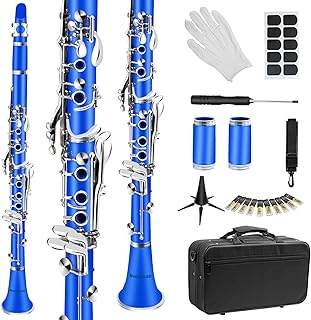 Soulmate Student Bb Clarinet