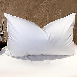 BHZ Luxury Goose Down Pillows